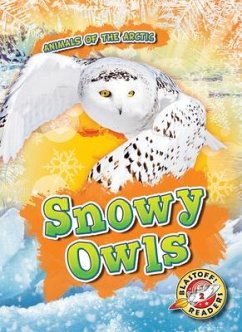 Snowy Owls - Rathburn, Betsy