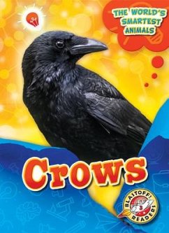 Crows - Mattern, Joanne