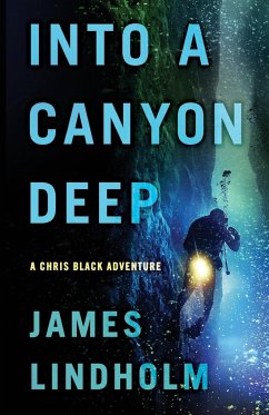 Into a Canyon Deep - Lindholm, James