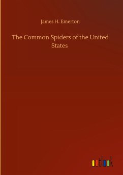 The Common Spiders of the United States
