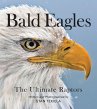 Bald Eagles - Bild 1