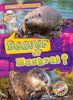 Beaver or Muskrat? Beaver or Muskrat?