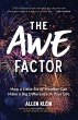 The Awe Factor - Bild 1