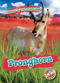 Pronghorn - Duling, Kaitlyn