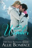 Winter's Wonder (Whispering Pines Sweet Small Town Romance) (eBook, ePUB)