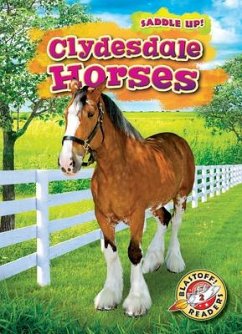 Clydesdale Horses - Grack, Rachel