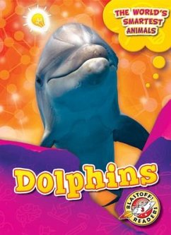 Dolphins - Mattern, Joanne