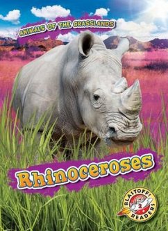 Rhinoceroses - Duling, Kaitlyn