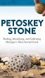 Petoskey Stone - Bild 1