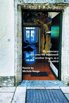 My adversary came onto the windowsill of another dream, as a bluebird - Rozga, Michele