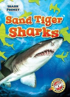 Sand Tiger Sharks - Adamson, Thomas K