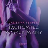 Fachowiec poszukiwany część 1 – opowiadanie erotyczne (MP3-Download)