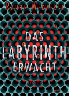Das Labyrinth erwacht / Labyrinth Bd.1 (Mängelexemplar) - Wekwerth, Rainer