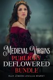 Medieval Virgins Publicly Deflowered Bundle (eBook, ePUB)