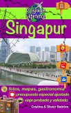 Singapur (eBook, ePUB)