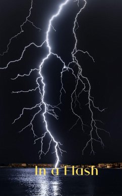 Cover In a Flash (eBook, ePUB)