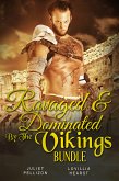 Ravaged & Dominated By The Vikings Bundle (eBook, ePUB)