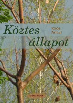 Köztes állapot (eBook, ePUB) - Koós, Antal