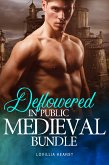 Deflowered In Public Medieval Bundle (eBook, ePUB)