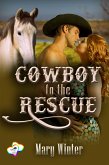Cowboy To The Rescue (eBook, ePUB)