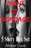 Night of Bondage 5 Story Box Set (eBook, ePUB)