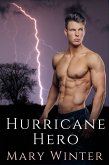 Hurricane Hero (eBook, ePUB)