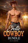 Erotic Cowboy Bundle (eBook, ePUB)