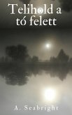 Telihold a tó felett (eBook, ePUB)