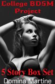 College BDSM Project 5 Book Bundle (eBook, ePUB)