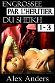 Engrossée par l’héritier du Sheikh 1-3 (eBook, ePUB)