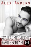 Während sie schläft 1 – 4: Bisexuelle Sexgeschichten MMF (eBook, ePUB)