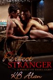 Perfect Stranger (eBook, ePUB)