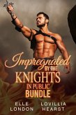 Impregnated By The Knights In Public Bundle (eBook, ePUB)