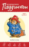 Paddington takes the test (eBook, ePUB)