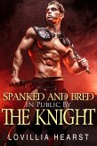 Spanked And Bred In Public By The Knight (eBook, ePUB)