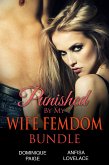 Punished By My Wife (eBook, ePUB)