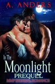 In The Moonlight: Prequel (eBook, ePUB)