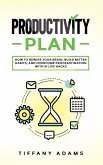 Productivity Plan (eBook, ePUB)