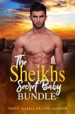 The Sheikh's Secret Baby Bundle (eBook, ePUB)