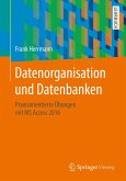Datenorganisation und Datenbanken (eBook, PDF)