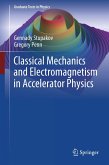 Classical Mechanics and Electromagnetism in Accelerator Physics (eBook, PDF)