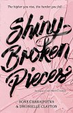 Shiny Broken Pieces (eBook, ePUB)