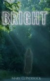 Bright (eBook, ePUB)