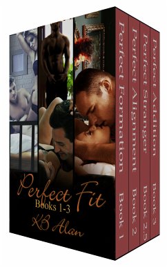 Perfect Fit Series (eBook, ePUB) - Alan, KB