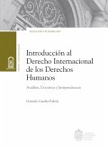 Introducción al derecho internacional de los Derechos Humanos (eBook, ePUB)
