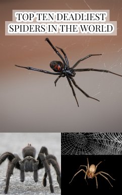 Top Ten Deadliest Spiders in the World (eBook, ePUB) - Slawson, Larry