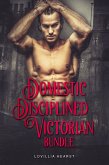 Domestic Disciplined Victorian Bundle (eBook, ePUB)