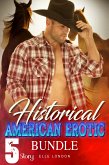 Historical American Erotic 5 Story Bundle (eBook, ePUB)