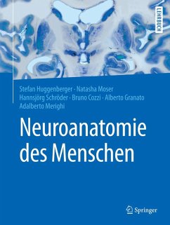 Neuroanatomie des Menschen (eBook, PDF)