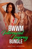 BWWM Interracial Impreg Bundle (eBook, ePUB)